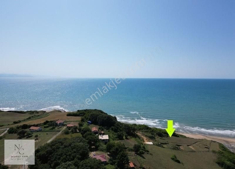 Sinop,abalı Denize Sıfır 1960 M2 Tarla