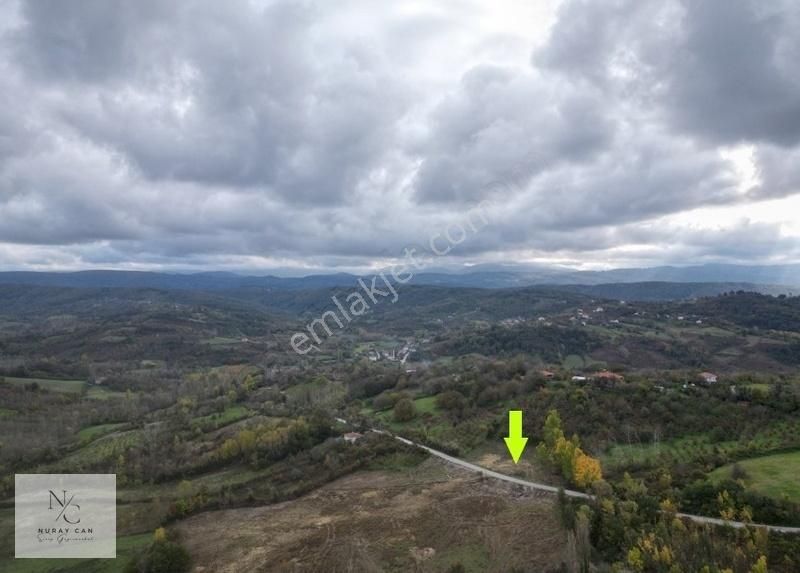 Sinop,yeniçam 'da 1195 M2 Satılık Tarla