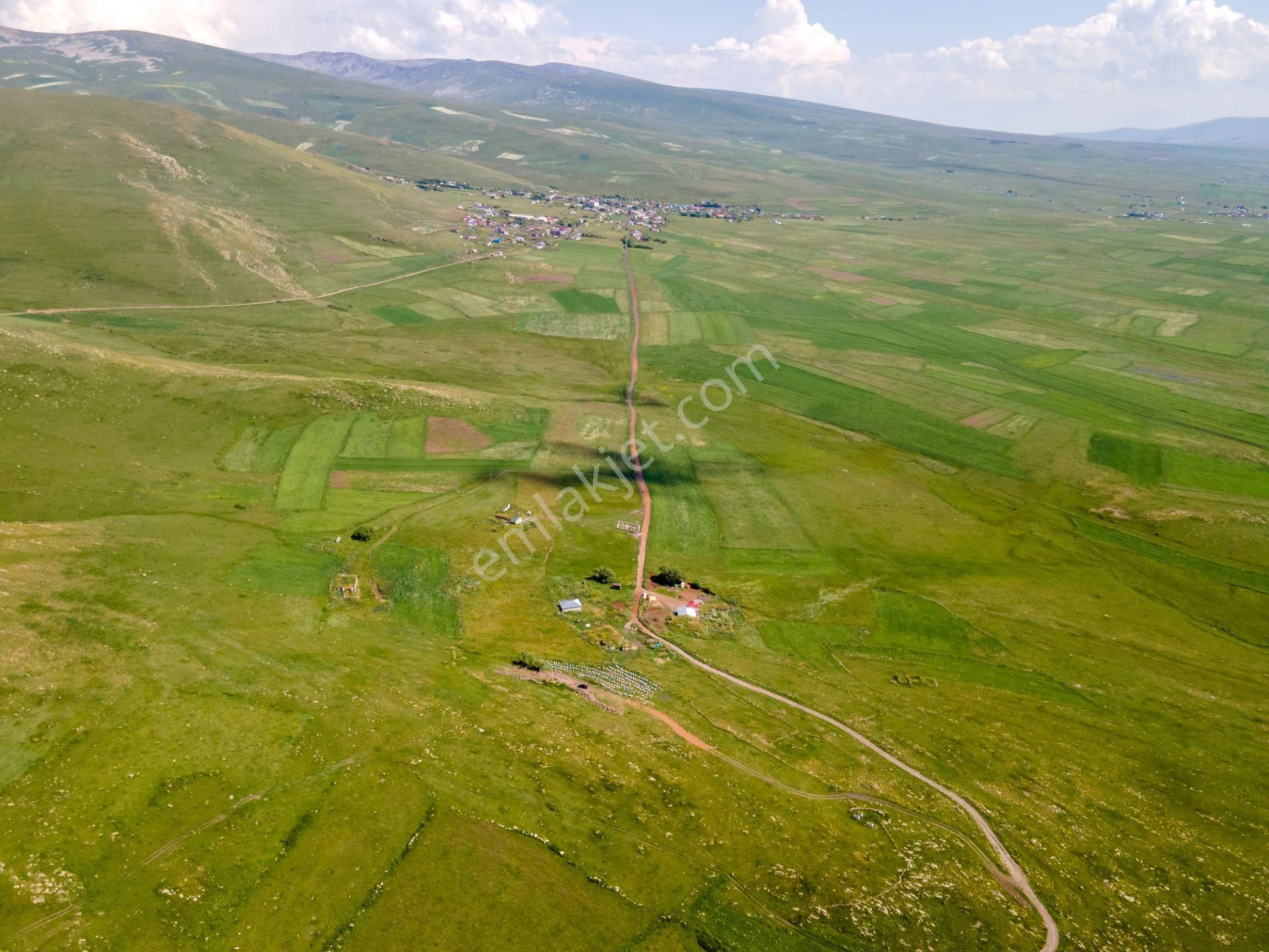 Ardahan'ın Muhteşem Doğasında 7636 M² Yatırım Fırsatı