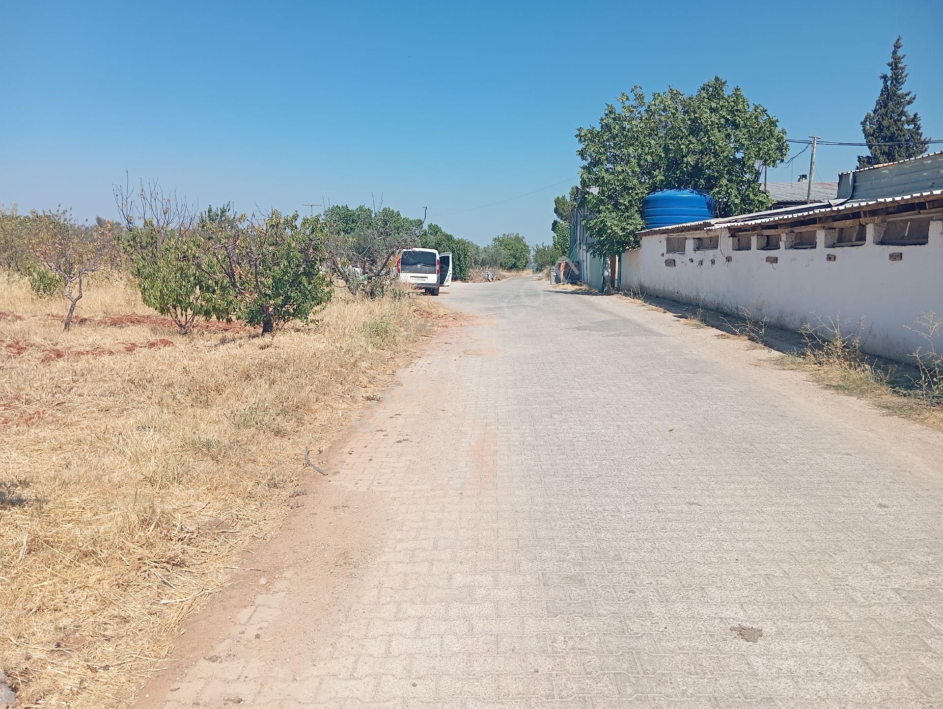 Sancaklı Bozköy Köy Merkezine Yakın