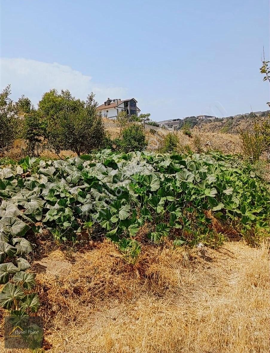 Becen'de Tek Tapu İmarlı Villa Parseli - Görsel 7