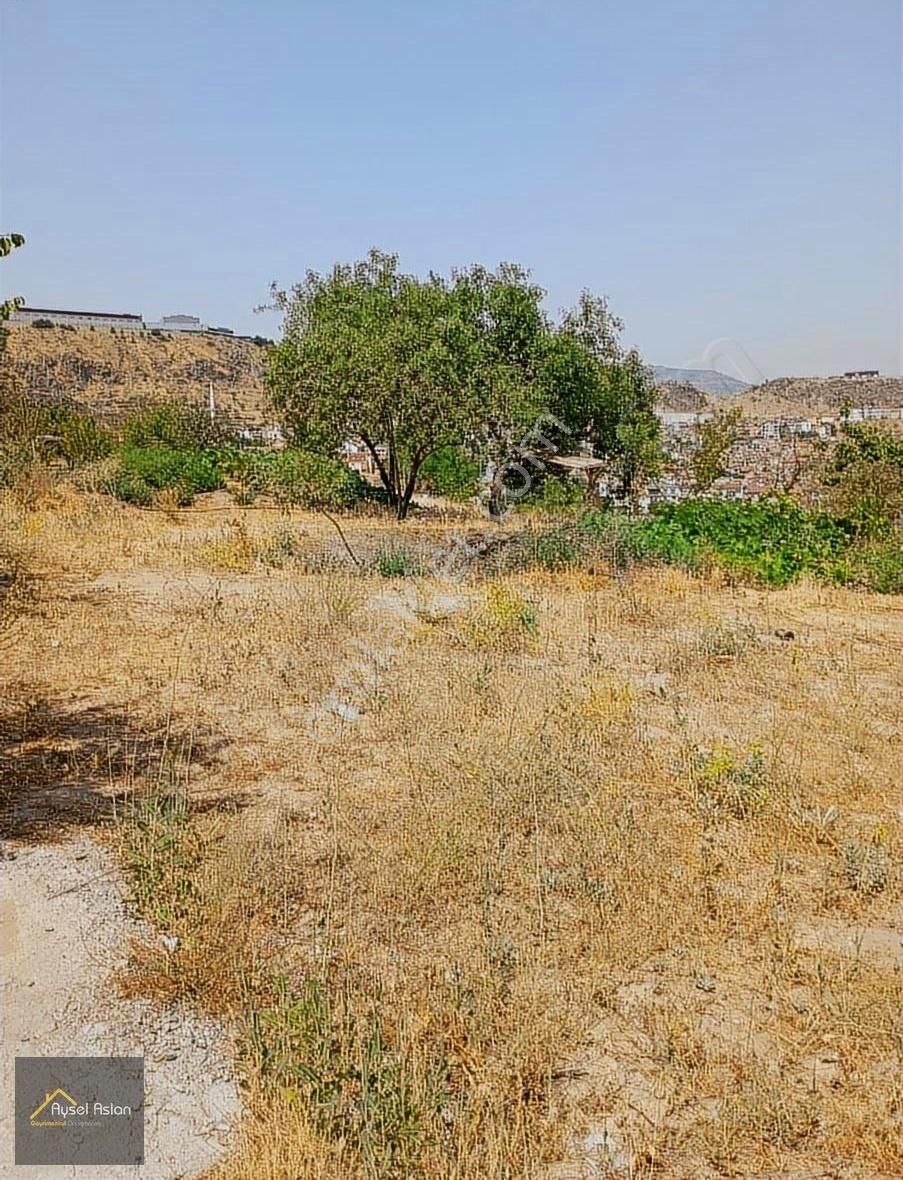 Becen'de Tek Tapu İmarlı Villa Parseli - Görsel 8