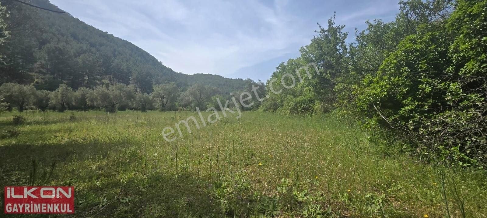 Fethiye Çenger Mah.ilkon'dan Acil Satılık Arazi - Görsel 2