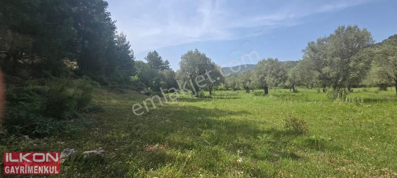 Fethiye Çenger Mah.ilkon'dan Acil Satılık Arazi - Görsel 18