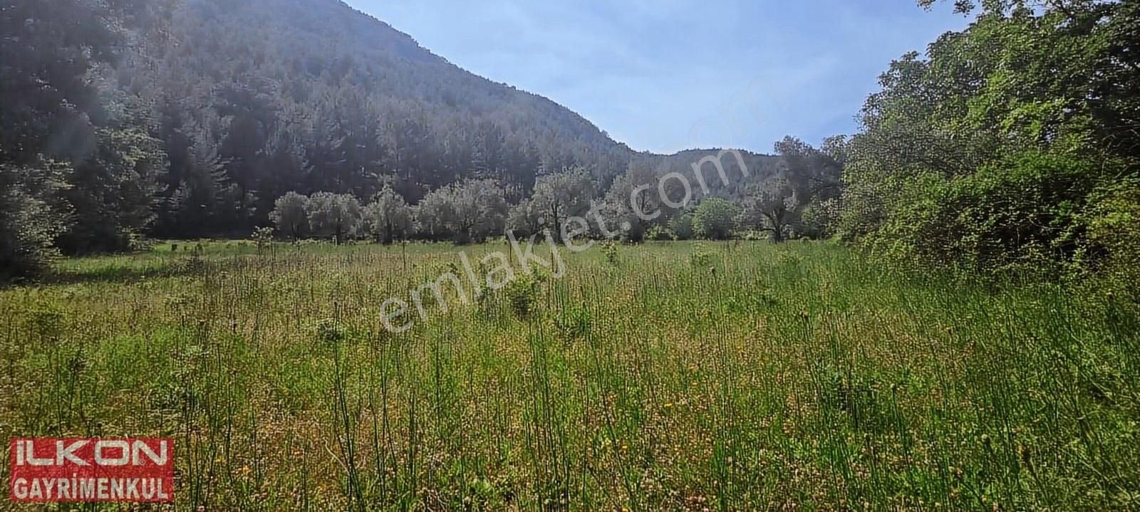 Fethiye Çenger Mah.ilkon'dan Acil Satılık Arazi - Görsel 15