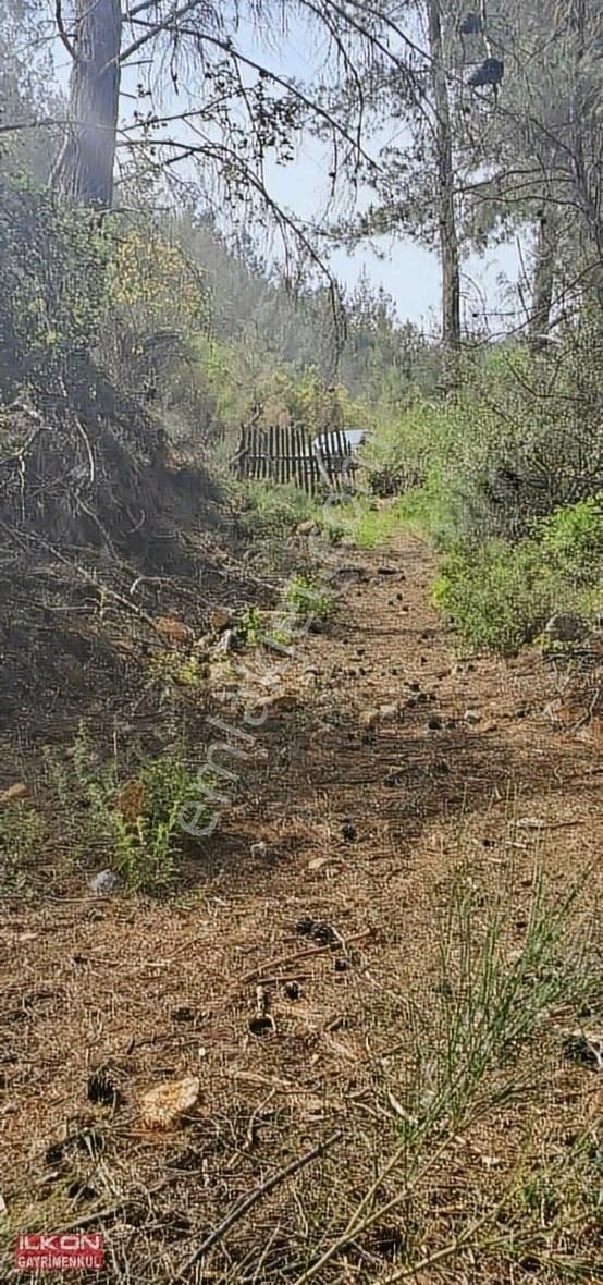 Fethiye Çenger Mah.ilkon'dan Acil Satılık Arazi - Görsel 12
