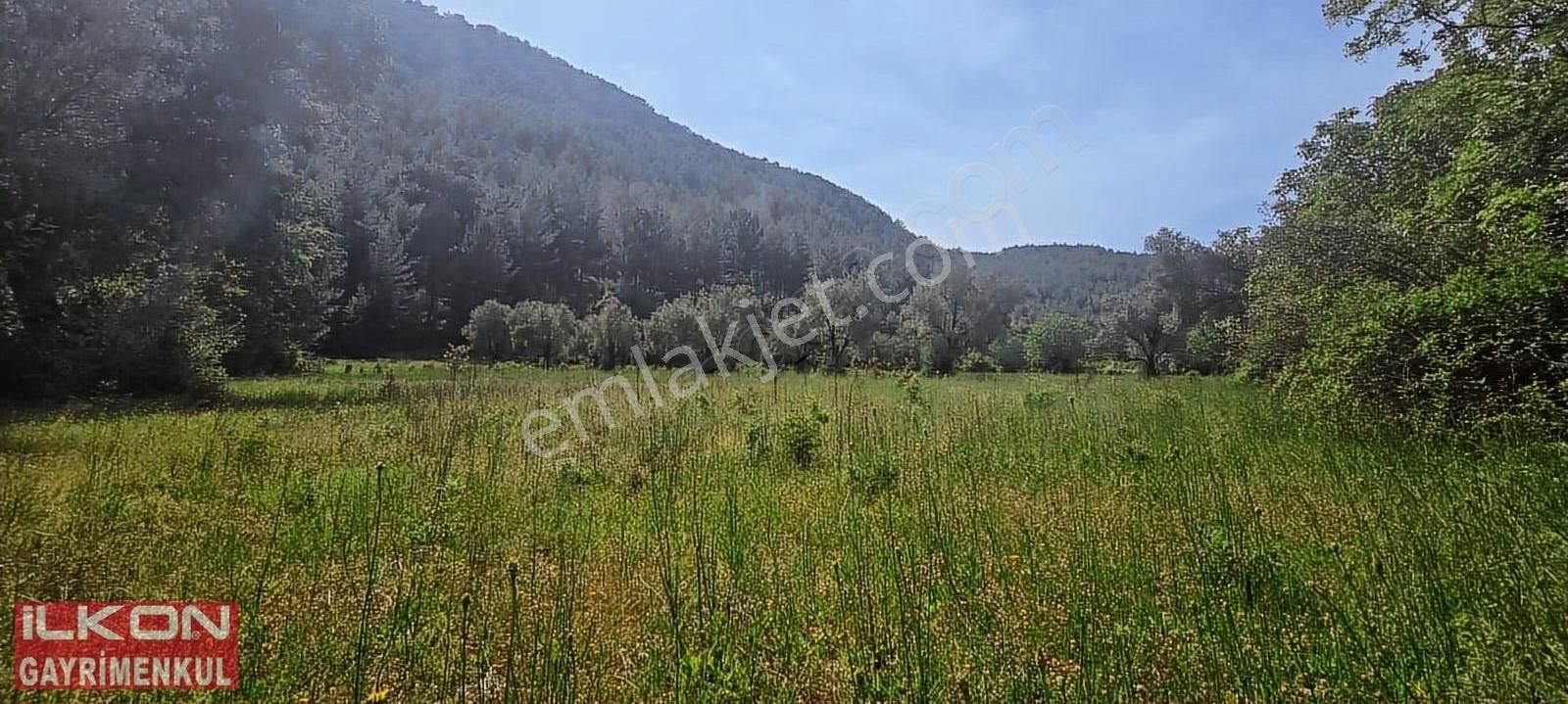 Fethiye Çenger Mah.ilkon'dan Acil Satılık Arazi - Görsel 22