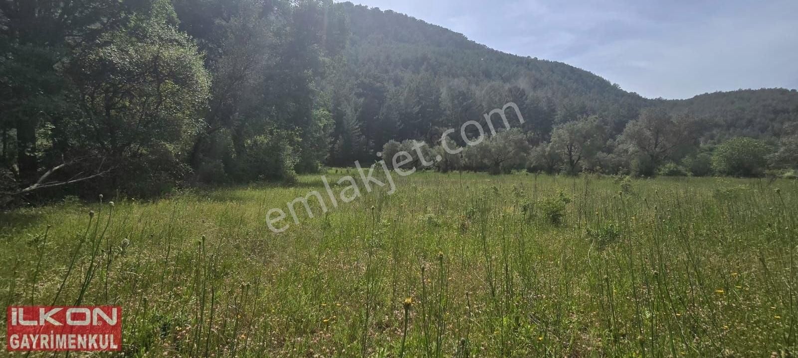 Fethiye Çenger Mah.ilkon'dan Acil Satılık Arazi - Görsel 9
