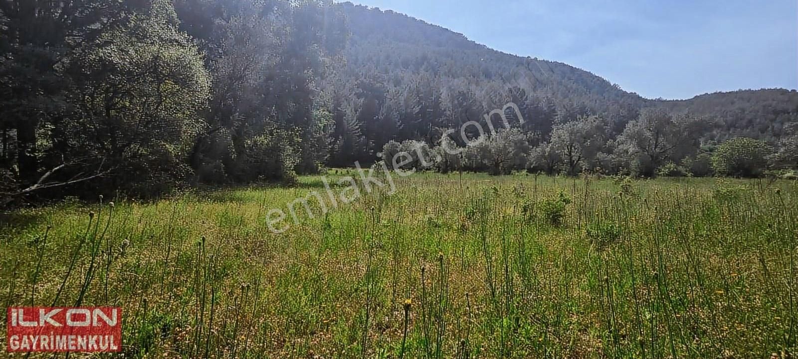 Fethiye Çenger Mah.ilkon'dan Acil Satılık Arazi - Görsel 3