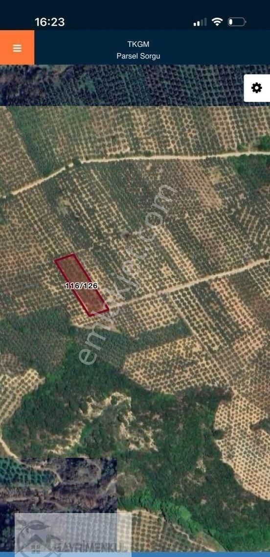 Gayrimenkul Dünyasın'dan.! Adli Köyünde Kaçırılmayacak Fırsat Zeytinlik..! - Görsel 15