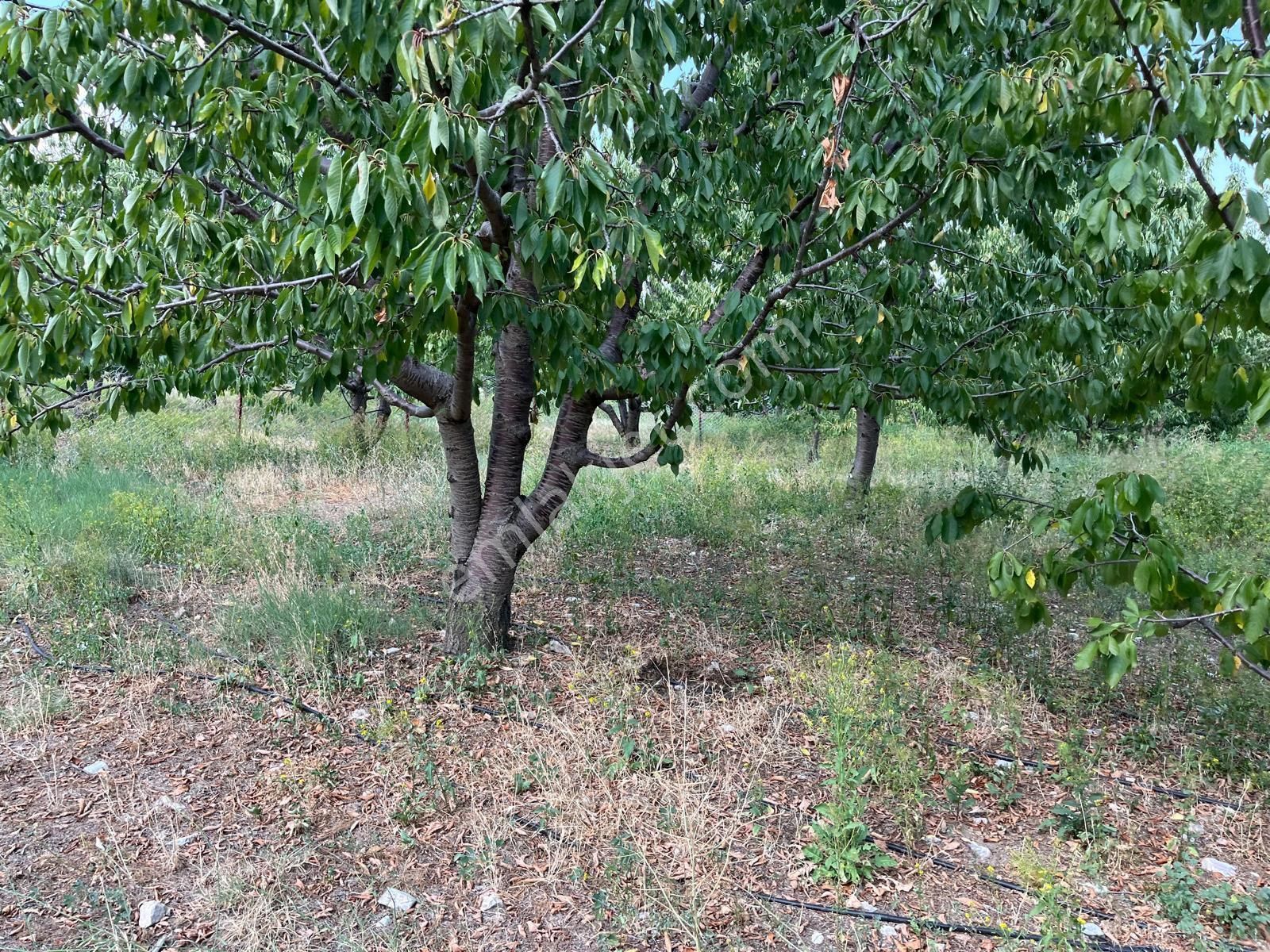 Erkam Emlaktan Villalık Arsa Hazır 3 Kata İmarlı Yatırımlık