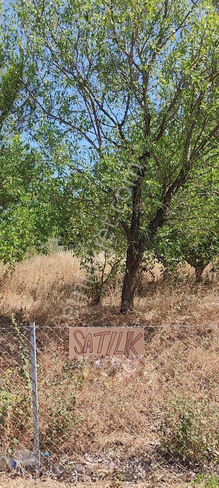 Çanakkale Merkez Atikhisar Barajı Manzaralı Sarıbeyli Köyünde Satılık 2400m2 Tarla - Görsel 2