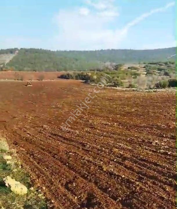 Elfi Den Manisa Da Satılık 16.468 M2 Tarla