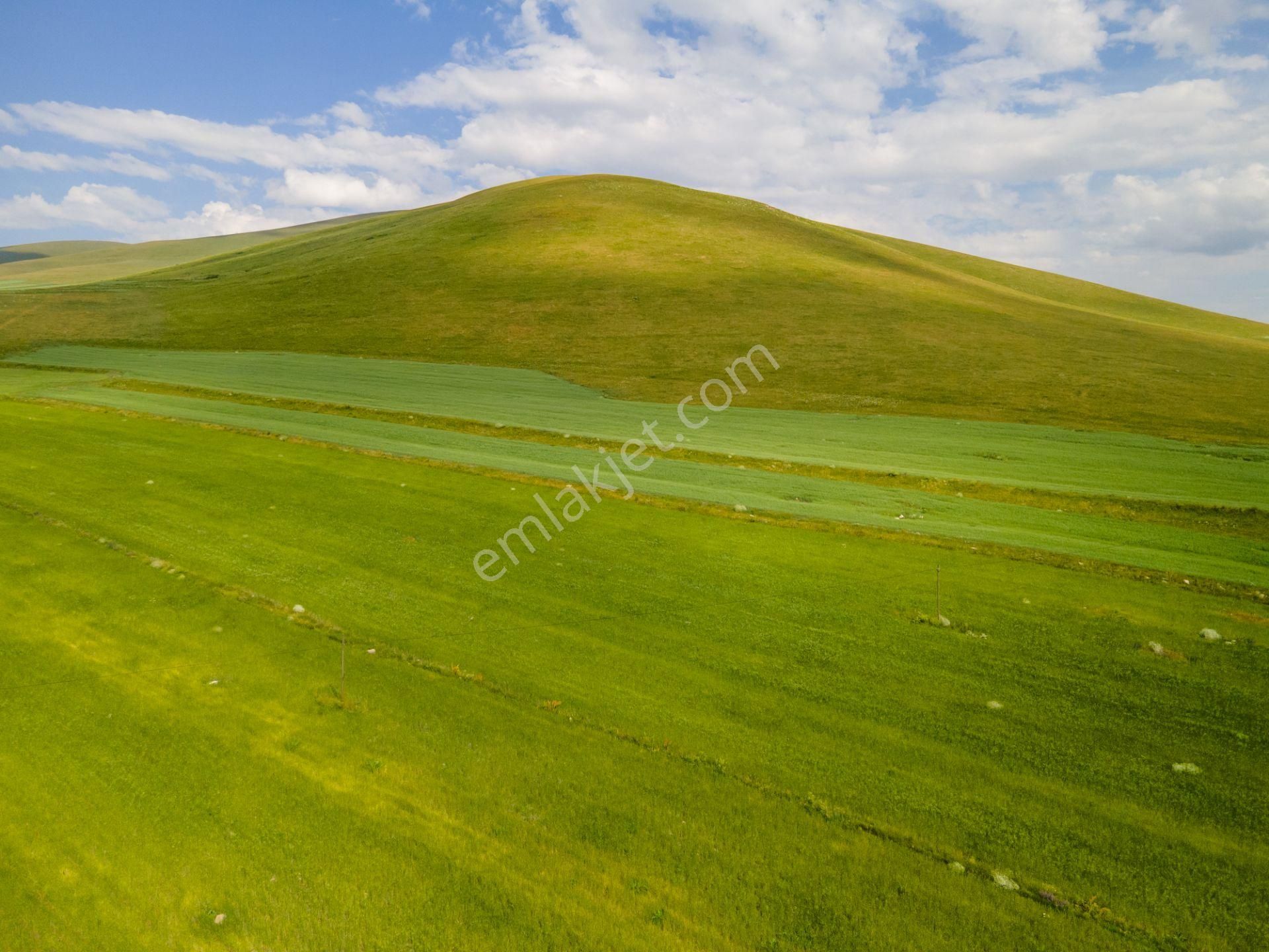 Kars Merkez'de 7.866 M² Yatırım Fırsatı