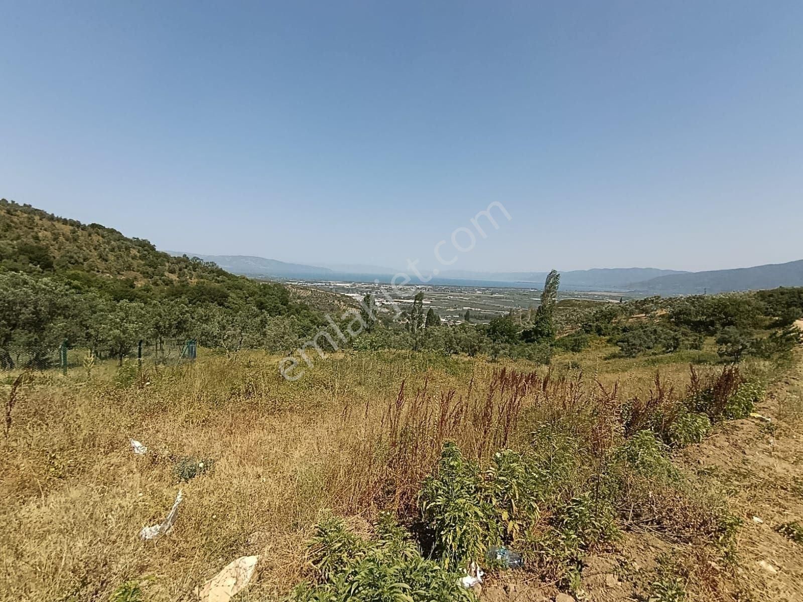 Bursa Orhangazi Çeltikçi Mahallesi 3 Adet Satılık Arazi - Görsel 5