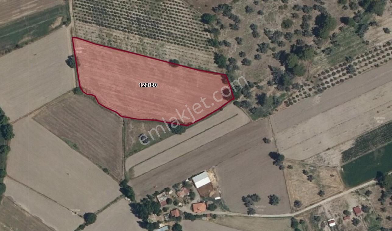Çayan'da Düz Zemin Yolu Mevcut 13.400m2. Tarla