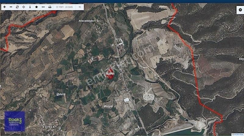 Aydın Karacasu Esençay Da Satılık Zeytin Bahçesi