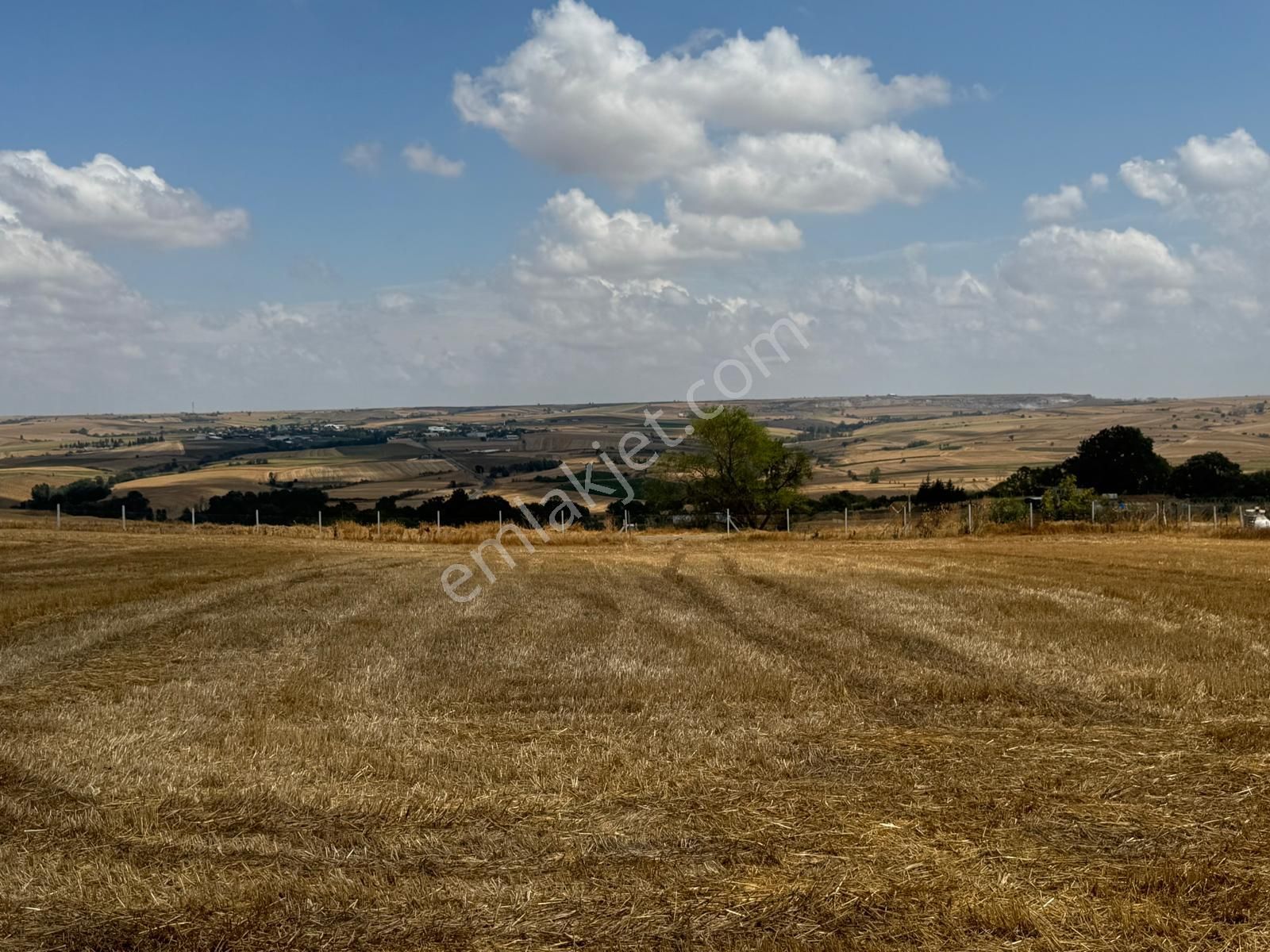 Tekirdağ Süleymanpaşa Bıyıkali Mah Yola Cephe Satılık Tarla