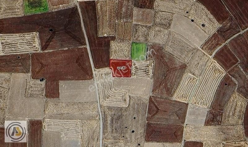 Konya Beyşehir Sadıkhacı Mahallesinde 1.760 M2 Satılık Tarla