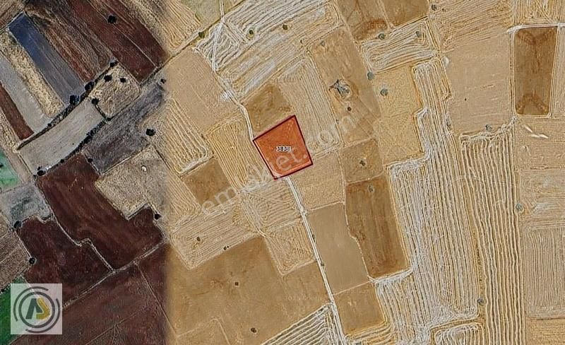 Konya Beyşehir Sadıkhacı Mahallesinde 2.220 M2 Satılık Tarla
