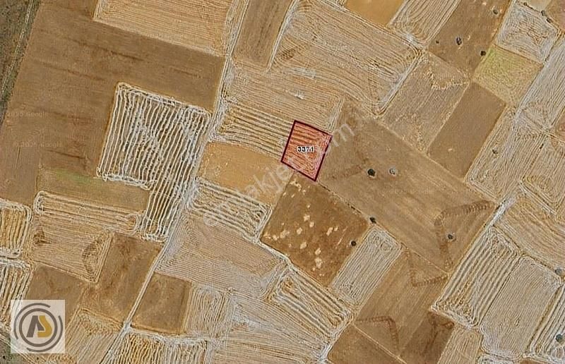 Konya Beyşehir Sadıkhacı Mahallesinde 1.660 M2 Satılık Tarla