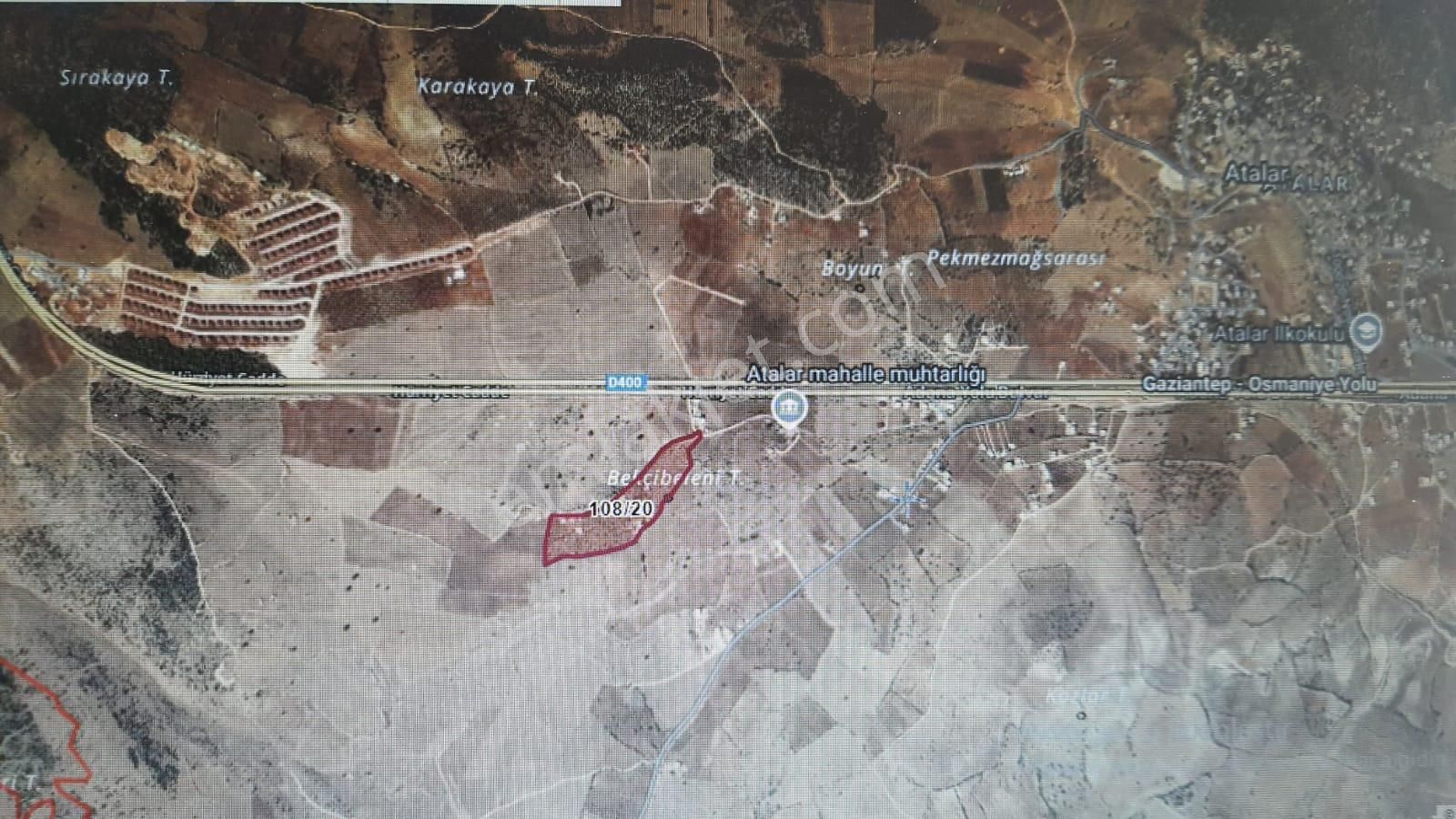 Atalar Mahallesi/köyü Ana Yola Sıfır Zeytinlik Ve Fıstık Ağaçları Mevcut
