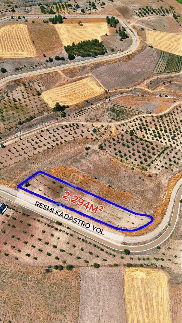 Şahin Büke Emlaktan Denızli Acıpayam Darıveren Mah. 2.294m² Satılık Tarla