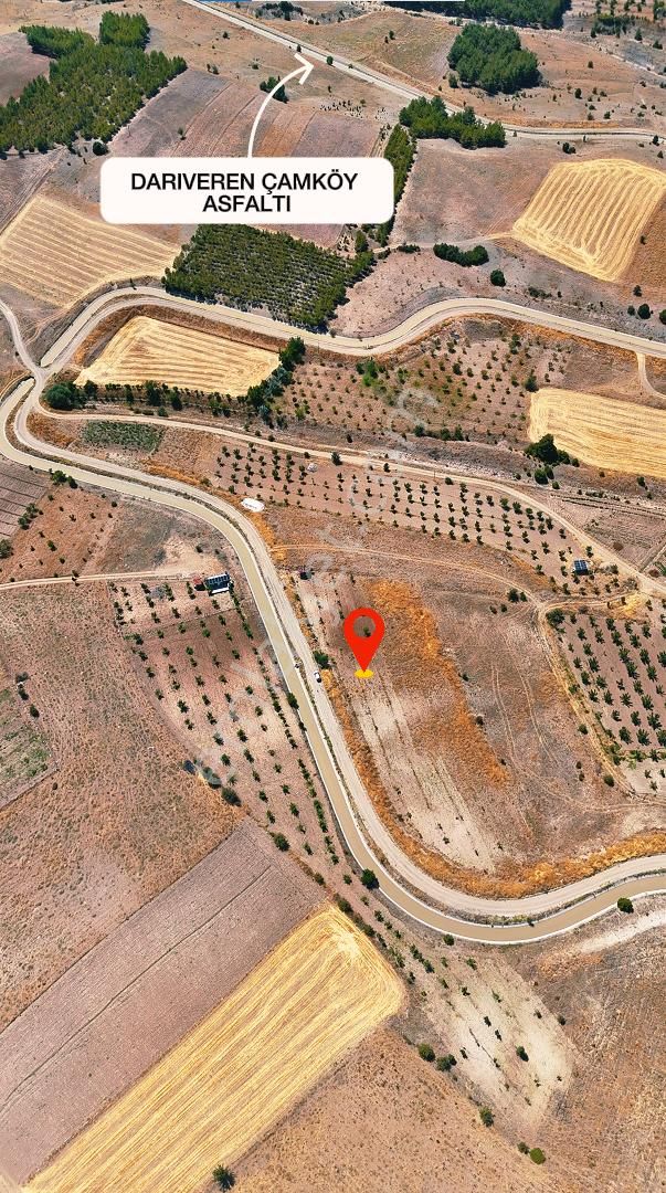 Şahin Büke Emlaktan Denızli Acıpayam Darıveren Mah. 2.294m² Satılık Tarla - Görsel 2