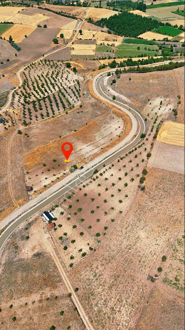 Şahin Büke Emlaktan Denızli Acıpayam Darıveren Mah. 2.294m² Satılık Tarla - Görsel 4