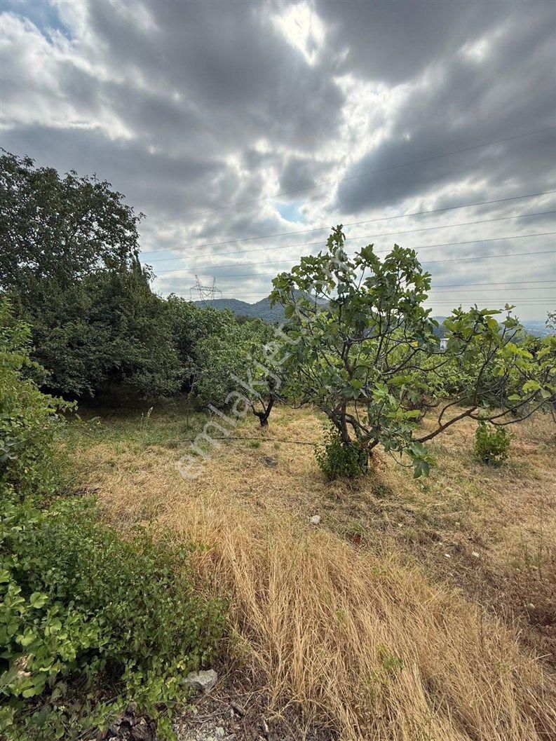 Bursa Nilüfer Dağyenice De 1916 M2 Köy İçi Tarla 18.000.000 Tl - Görsel 24