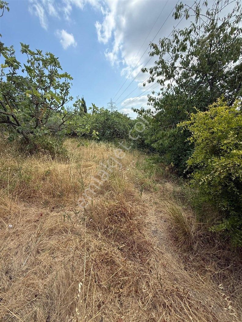 Bursa Nilüfer Dağyenice De 1916 M2 Köy İçi Tarla 18.000.000 Tl - Görsel 20