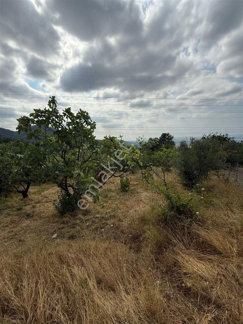 Bursa Nilüfer Dağyenice De 1916 M2 Köy İçi Tarla 18.000.000 Tl - Görsel 25