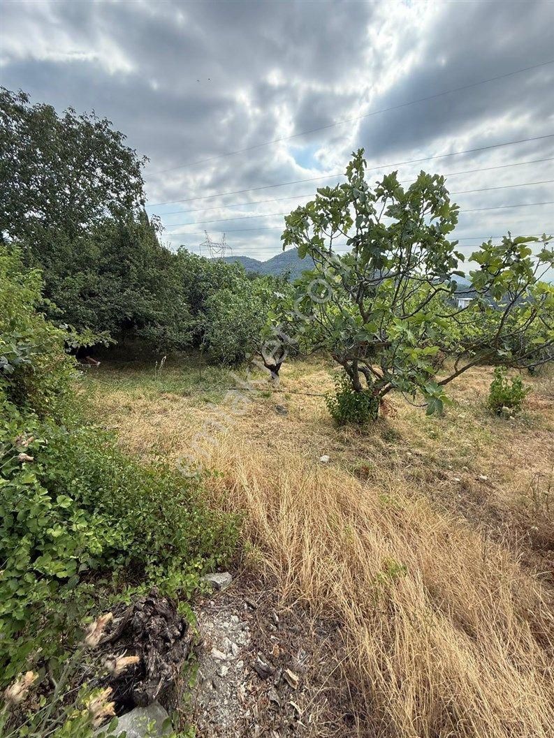 Bursa Nilüfer Dağyenice De 1916 M2 Köy İçi Tarla 18.000.000 Tl - Görsel 16