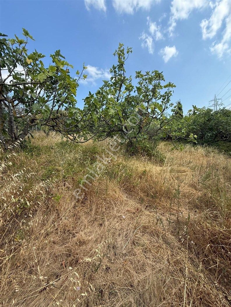 Bursa Nilüfer Dağyenice De 1916 M2 Köy İçi Tarla 18.000.000 Tl - Görsel 21