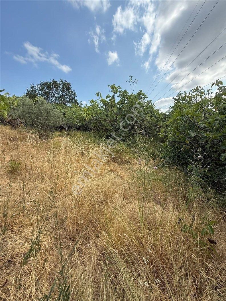 Bursa Nilüfer Dağyenice De 1916 M2 Köy İçi Tarla 18.000.000 Tl - Görsel 19