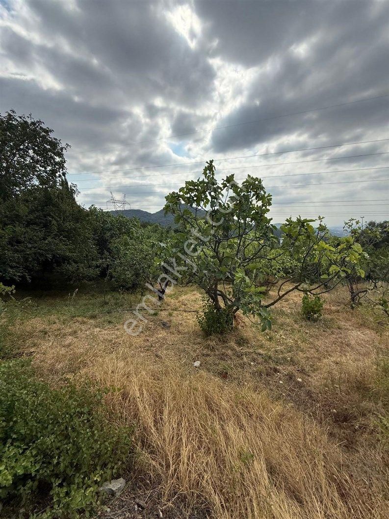Bursa Nilüfer Dağyenice De 1916 M2 Köy İçi Tarla 18.000.000 Tl - Görsel 12
