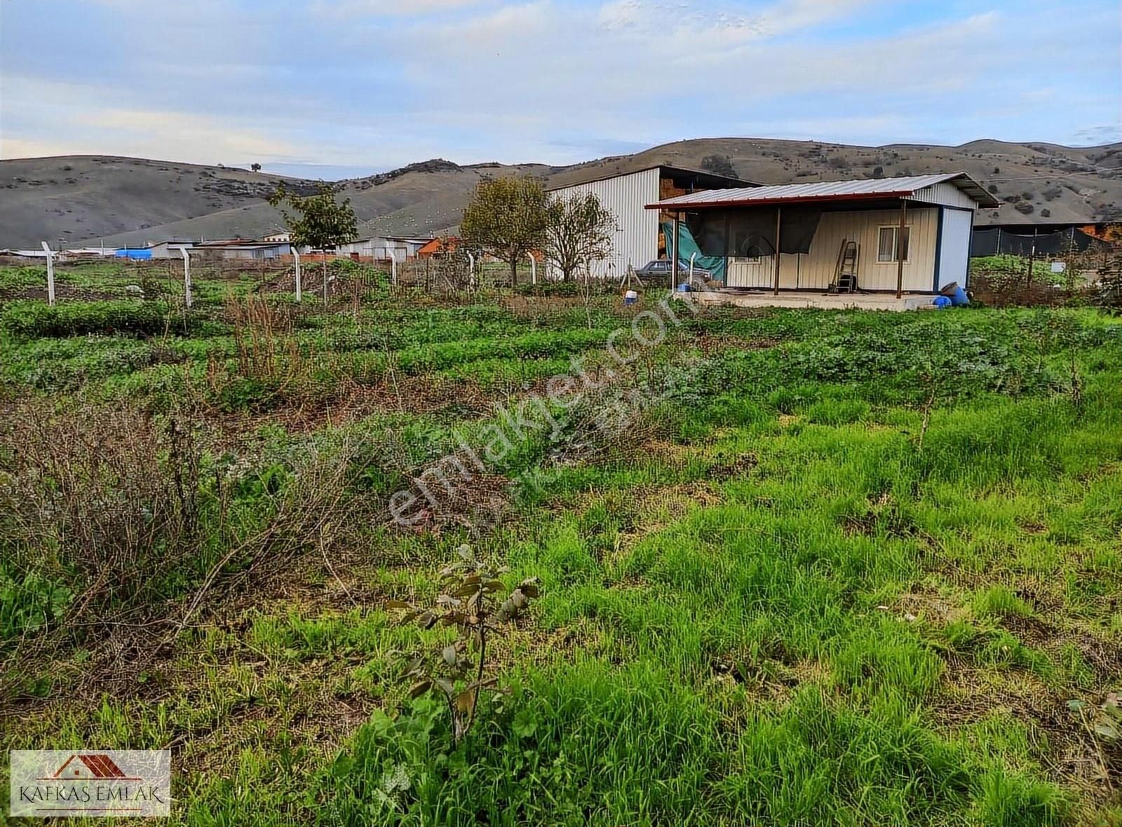 Ocaklı Mh. 2 Kat İmarlı 735 M2 Arsa (hobi Bahçesi) - Görsel 5