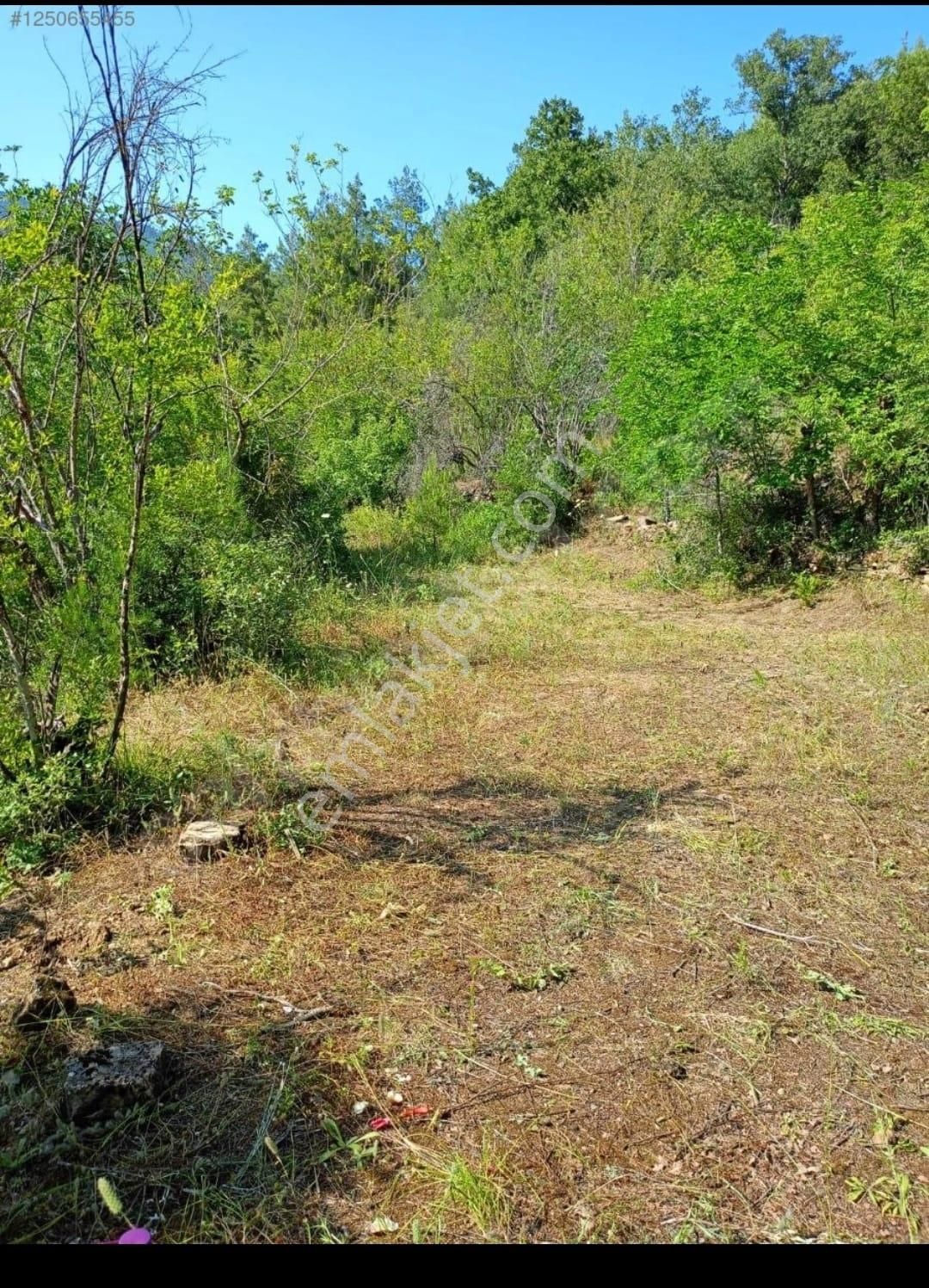 Uygun Fiyatlı Bahçe Alanya Tırılarda