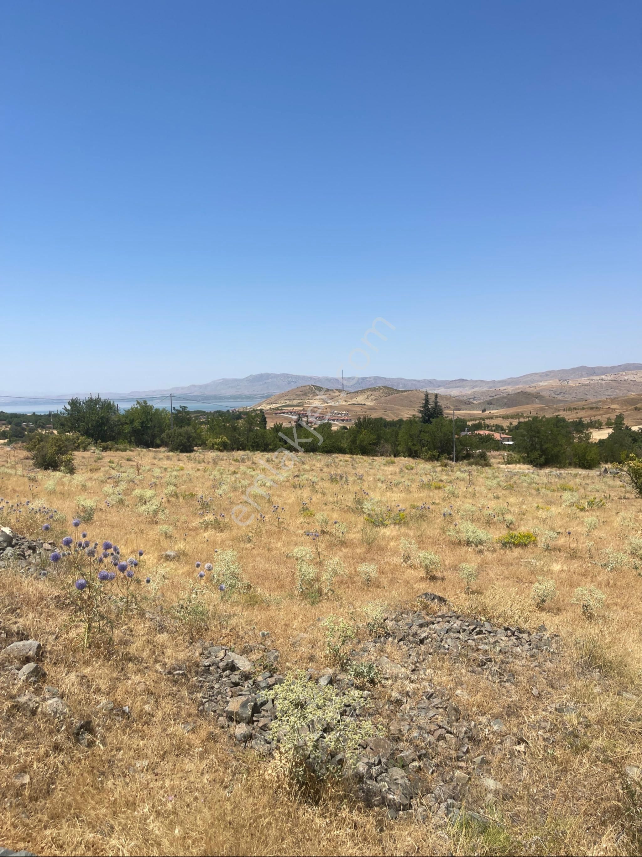 Şahsuvarda Sulu Tarla