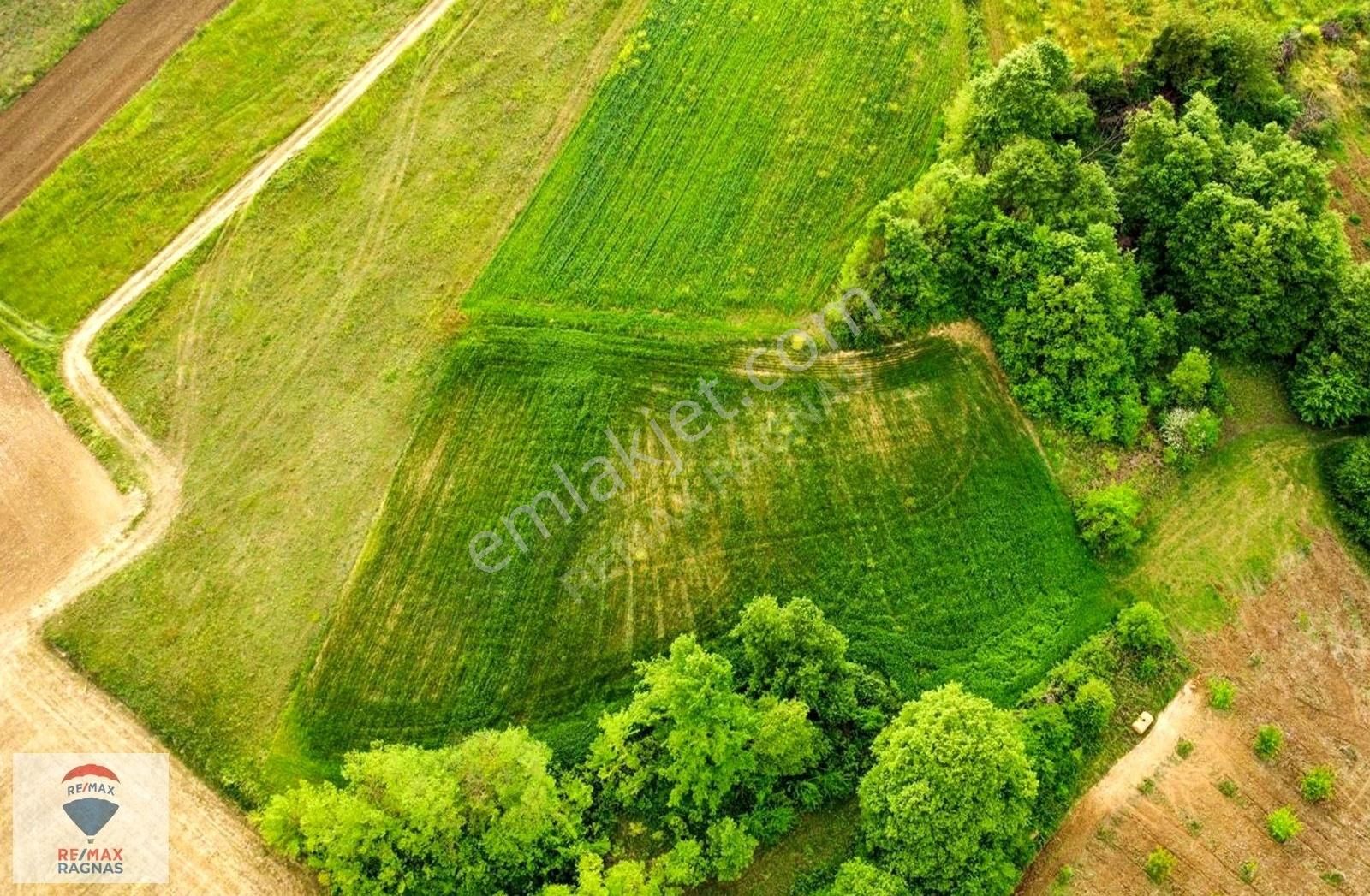 Kandıra Hıdırlar Mah Kadastrol Yola 1 Parsel 4571 M2 Tarla