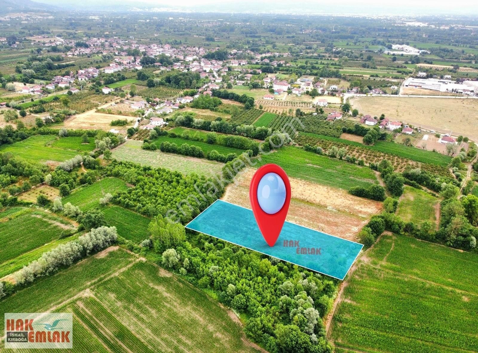 Hak Emlak'tan Çilimli - Pırpır Köyünde Satılık 4.919 M² Tarla