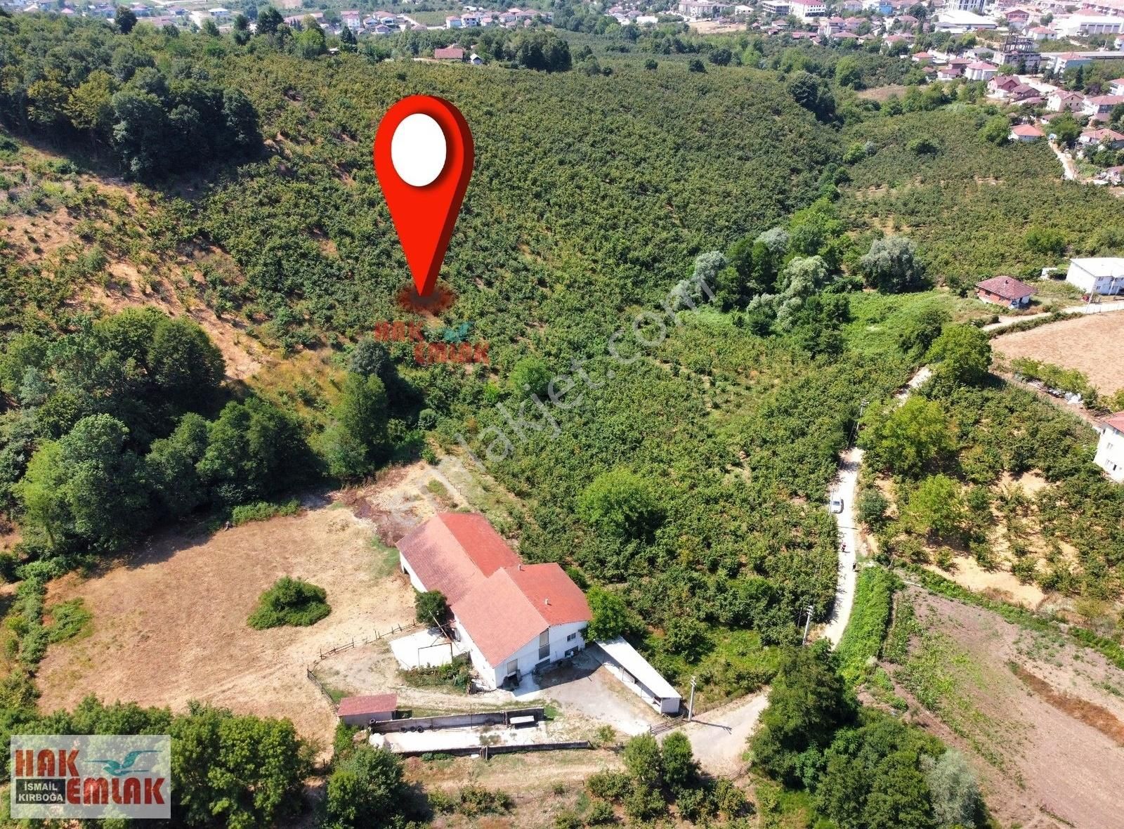 Hak Emlak'tan Çilimli Yeşil Mahalle'de Satılık 7.502 M² Tarla