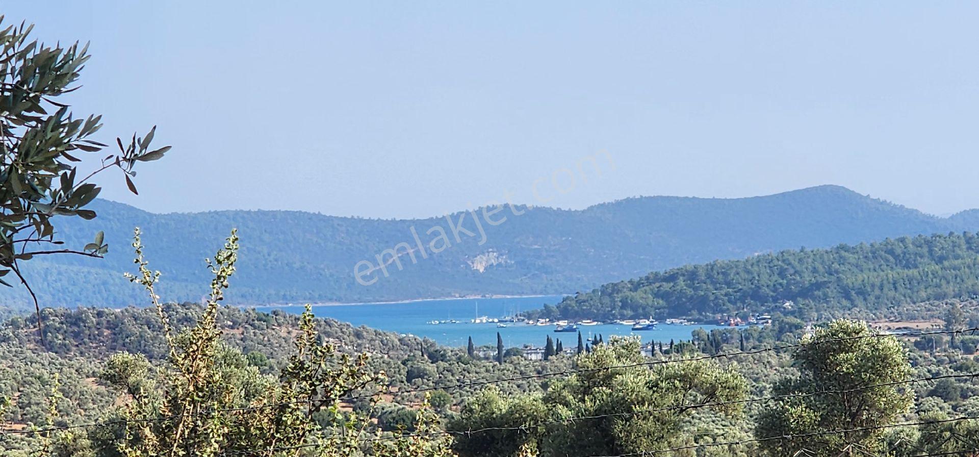 Muğla Milas Kazıklıda Denız Manzaralı Ana Yola Yakın Yatırımlık - Görsel 12