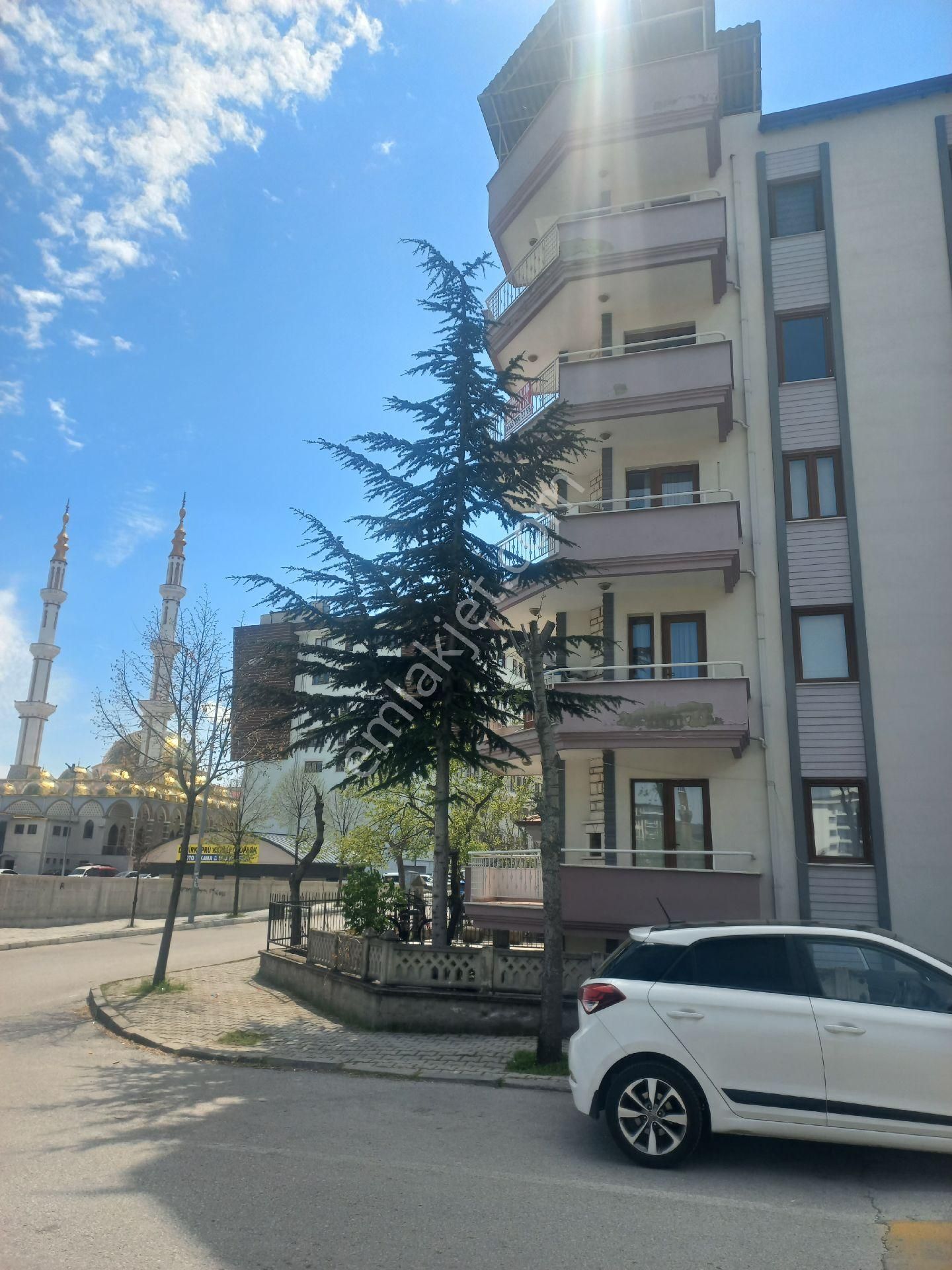 Uygun Fiyatlı Daıre