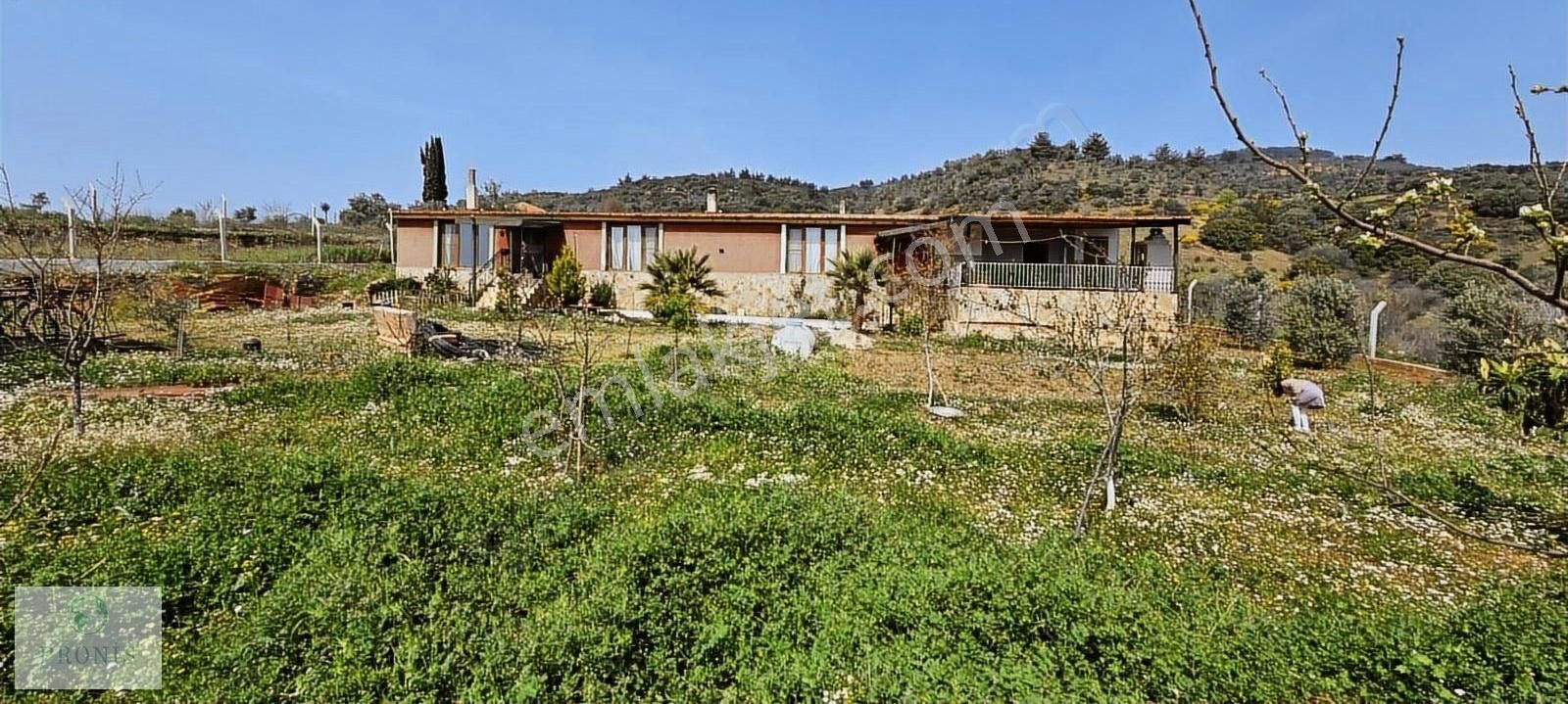 Bayındır'da 1114m2 Tek Tapu Villalık Arsa