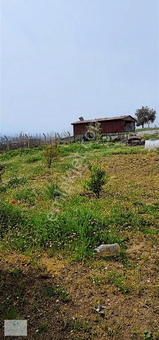 Bayındır'da 1114m2 Tek Tapu Villalık Arsa - Görsel 18