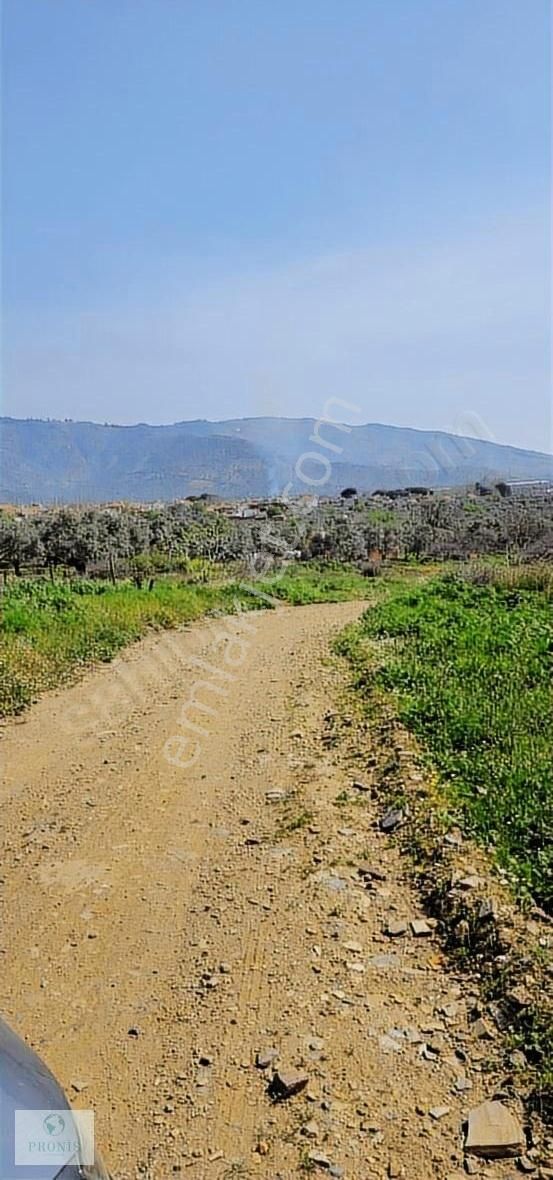 Bayındır'da 1114m2 Tek Tapu Villalık Arsa - Görsel 12