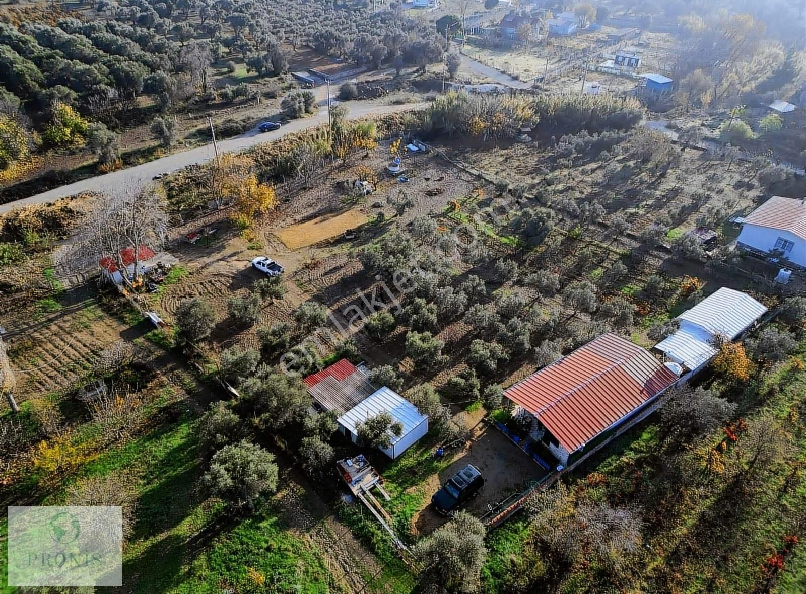 Dereköy'de 5 Dönümde Kurulu Ev Ve Bahçe - Görsel 24