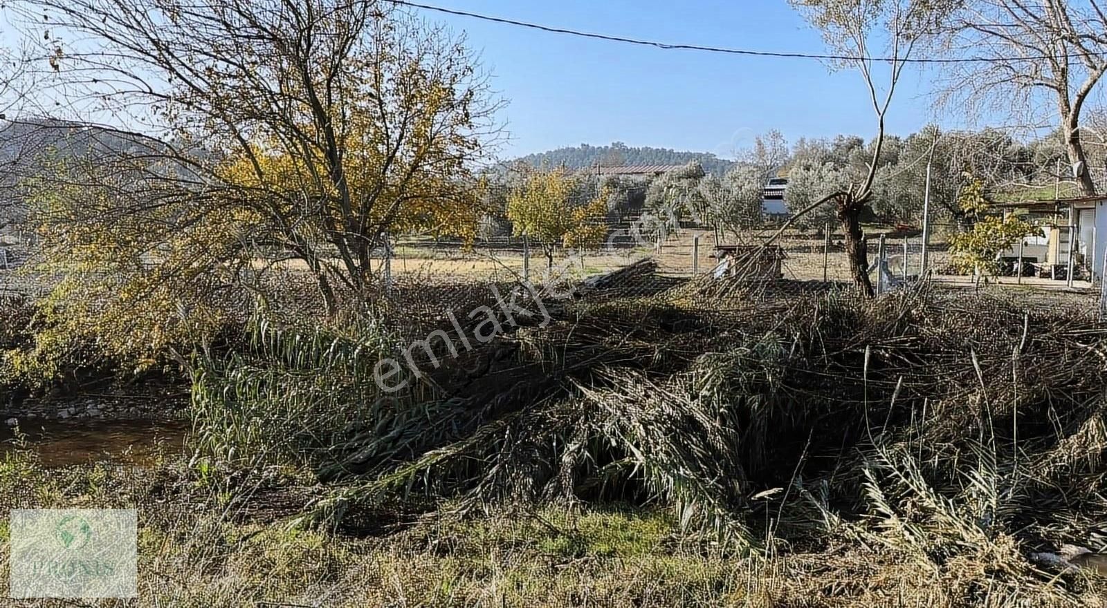 Dereköy'de 5 Dönümde Kurulu Ev Ve Bahçe - Görsel 5