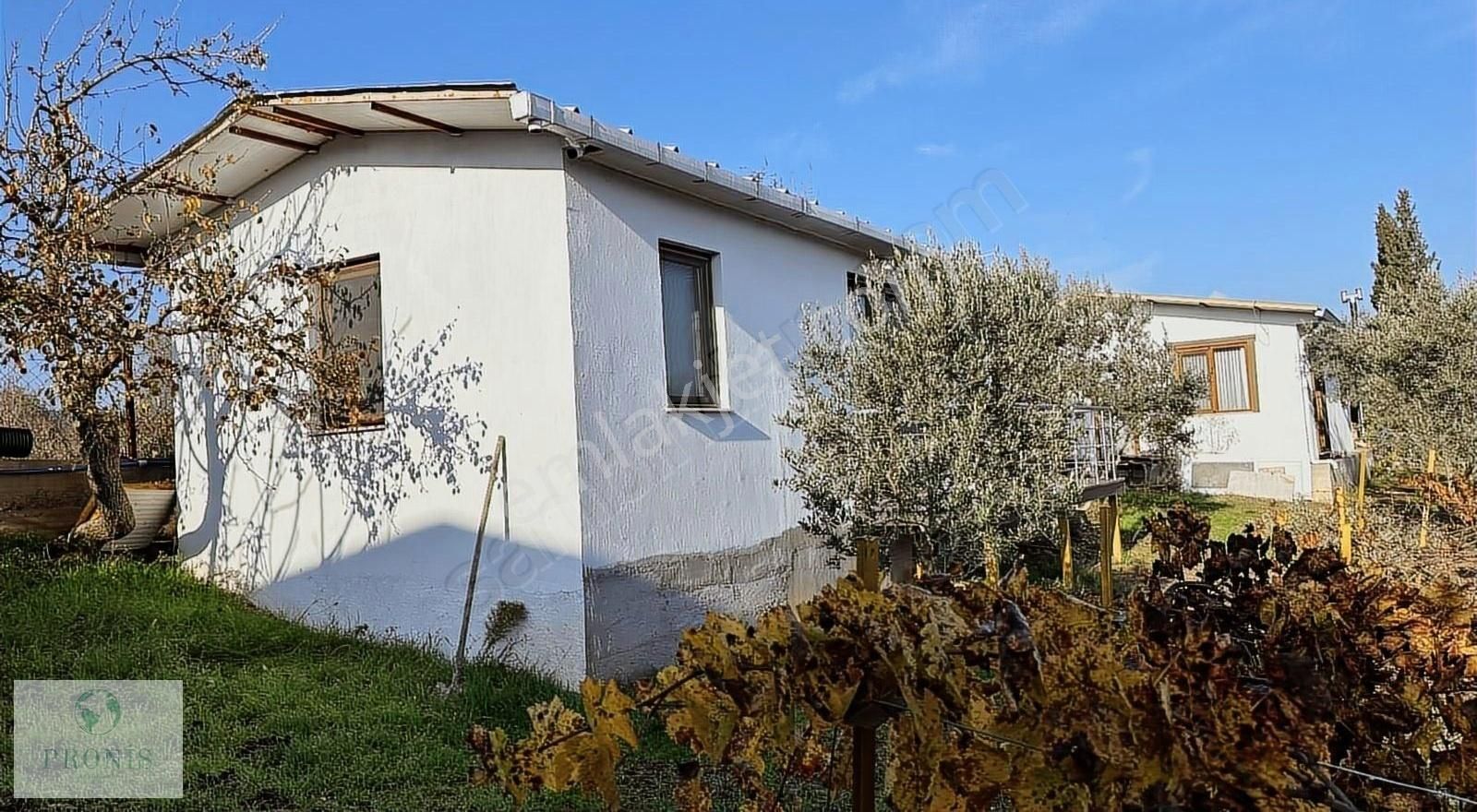 Dereköy'de 5 Dönümde Kurulu Ev Ve Bahçe - Görsel 8